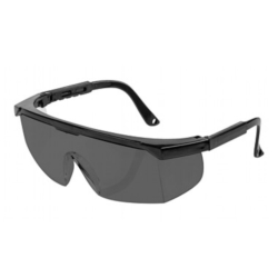 SCHUTSBRILLE PROFI 