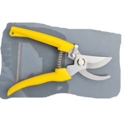 PRUNING SHEAR