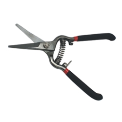                             PRUNINGSHEAR ROSES
                          