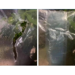 TAŚMA DO FOLII SZKLARNIOWEJ NAPRAWCZA WODOODPORNA 100MMx10M TRANSPARENT WATERPROOF