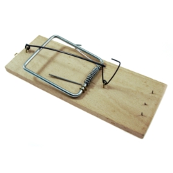 TRAMPA PARA RATAS 5X 17x7CM WOOD