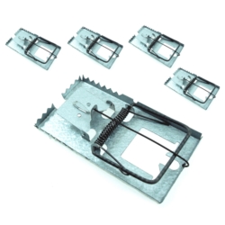  17x7CM STEEL 5X