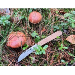 NÓŻ MONTERSKI SCYZORYK NOŻYK KOZIK DO GRZYBÓW 70/175MM STAINLESS STEEL