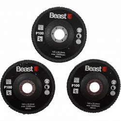 ABRASIVE MOP DISC 