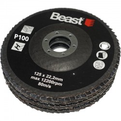 ABRASIVE MOP DISC 