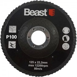 ABRASIVE MOP DISC 