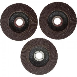 DYSK ŚCIERNICA LISTKOWA LAMELKA 3 SZTUKI P100 125/22MM 3X