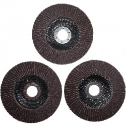 DYSK ŚCIERNICA LISTKOWA LAMELKA 3 SZTUKI P100 125/22MM 3X